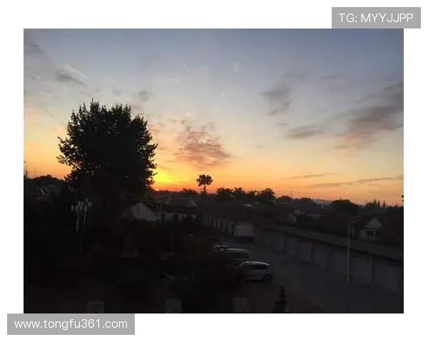 太阳与梦想竞彩的碰撞探索未来体育与梦想的交融之旅